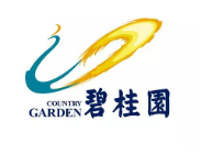 界首碧桂园地产